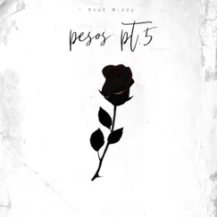 Pesos 5 - Single by Booh WIDDY album reviews, ratings, credits