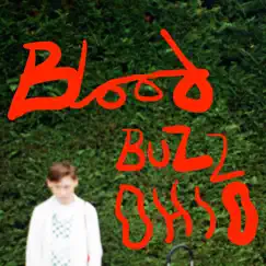 Bloodbuzz Ohio - Single by SOAK album reviews, ratings, credits