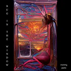Bug in the Window - Single by Mommy Pants album reviews, ratings, credits