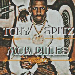 Mob Rules - Single by Tony Spitz album reviews, ratings, credits