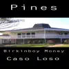 Pines (feat. Birkinboy Money) - Single album lyrics, reviews, download