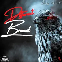 Different Breed - Single by Babyy Hunnid album reviews, ratings, credits