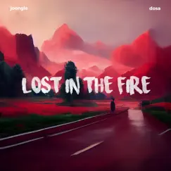 Lost In the Fire - Single by Joongle & Dosa album reviews, ratings, credits