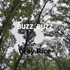 Buzz, Buzz Song Lyrics