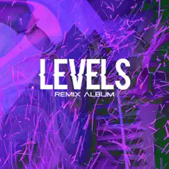 Levels (Starloop Remix) Song Lyrics