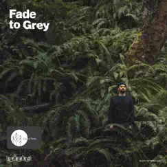 Fade to Grey - Single by City of Pines album reviews, ratings, credits