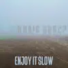 Enjoy It Slow - Single album lyrics, reviews, download