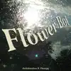 Flower Boi (feat. Phanpy) - Single album lyrics, reviews, download