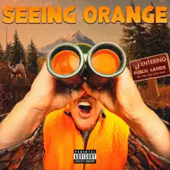 Seeing Orange Song Lyrics