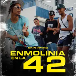 Enmolinia En La 42 (feat. SkinirvinG) - Single by YoungK66 album reviews, ratings, credits