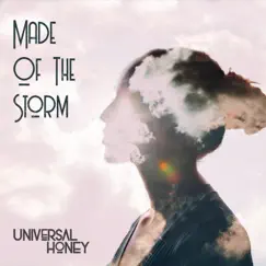 Made of the Storm Song Lyrics