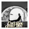 Can't Look Past You (feat. Kate Nash) - Single album lyrics, reviews, download