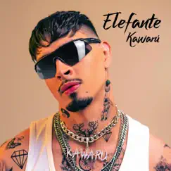 Elefante - Single by Kawarú album reviews, ratings, credits