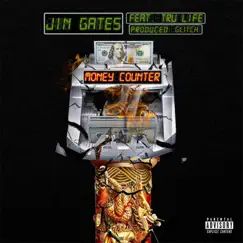 Money Counter (feat. Tru Life) - Single by Jin Gates album reviews, ratings, credits