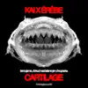 Cartilage album lyrics, reviews, download