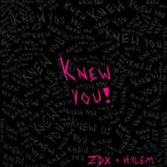 Knew You - Single by ZDIORX & Hylem album reviews, ratings, credits