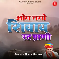 Om Namo Shivay Rat Prani Song Lyrics