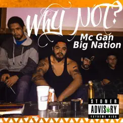 Why Not? by Mc Gan & Big Nation album reviews, ratings, credits