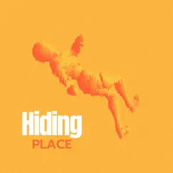 Hiding Place - Single by Narrative. album reviews, ratings, credits