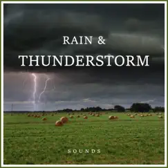 Rain and Thunderstorm Sounds, Pt. 35 Song Lyrics