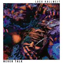 Never Talk - Single by Luca Kallweit album reviews, ratings, credits