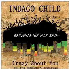 Crazy About You - Single by Indago Child album reviews, ratings, credits