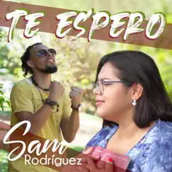 Te Espero - Single by Sam Rodríguez album reviews, ratings, credits