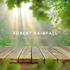 Forest Rainfall For Anxiety Relief - Single album lyrics, reviews, download