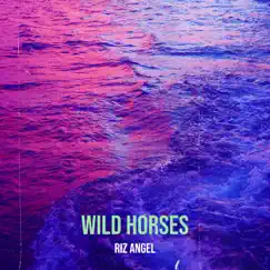 Wild Horses - Single by Riz Angel album reviews, ratings, credits