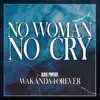 No Woman No Cry (From "Black Panther: Wakanda Forever") - Single album lyrics, reviews, download