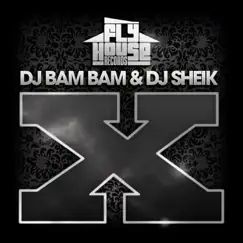 X - Single by DJ Bam Bam & DJ Sheik album reviews, ratings, credits