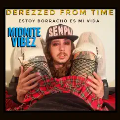 Estoy Borracho Es Mi Vida con Vibez (feat. Midnite Vibez) Song Lyrics