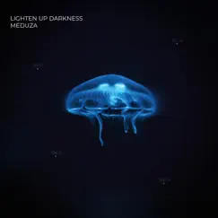 Lighten up Darkness - Single by Meduza album reviews, ratings, credits