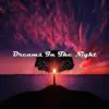 Dreams In the Night album lyrics, reviews, download
