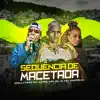 Sequência de Macetada - Single album lyrics, reviews, download