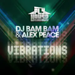 Vibrations - Single by DJ Bam Bam & Alex Peace album reviews, ratings, credits
