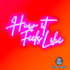 How It Feels Like - Single by Dj Nastypants album reviews, ratings, credits
