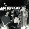 Am Neckar (feat. Al Gianone, Coòli & vantassy) - Single album lyrics, reviews, download