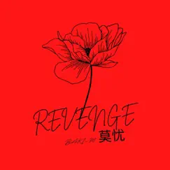 Revenge (Instrumental Version) Song Lyrics