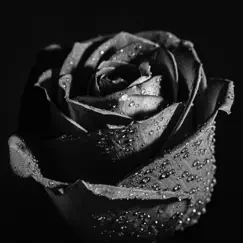 Black Rose - Single by Noble album reviews, ratings, credits