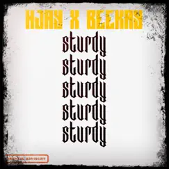 Sturdy - Single by Beekay & Hjay album reviews, ratings, credits