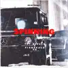 Spinning (feat. Fishscale Yo) - Single album lyrics, reviews, download