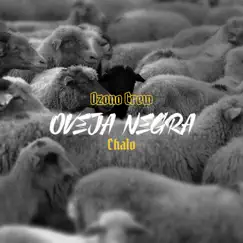 Oveja Negra Song Lyrics