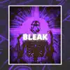 Bleak - Single album lyrics, reviews, download