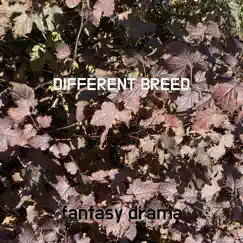 Different Breed Song Lyrics