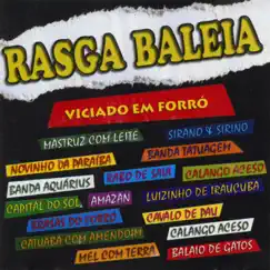 Capô de Fusca Song Lyrics