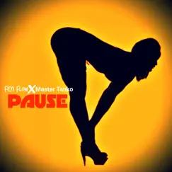 Pause Song Lyrics