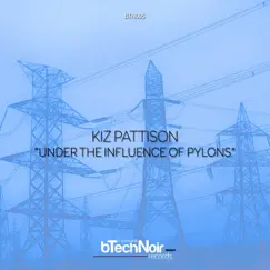 Under the Influence of Pylons by Kiz Pattison album reviews, ratings, credits