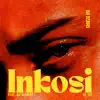 Inkosi (feat. Dj Aladice & DJ TEE) - Single album lyrics, reviews, download