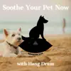 Soothe Your Pet Now with Hang Drum album lyrics, reviews, download